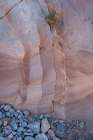 USA-Nevada Abstract lines in the sandstone-Valley of Fire State Park Art Print